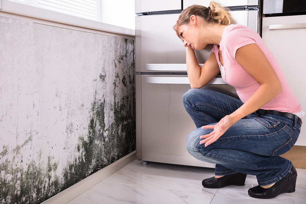 Les dangers liés à la présence de moisissure sur le mur